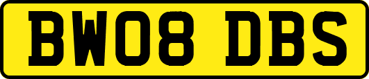 BW08DBS