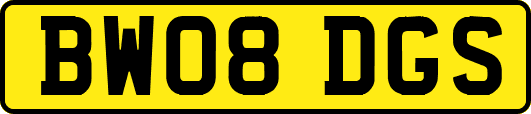 BW08DGS