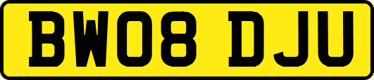BW08DJU