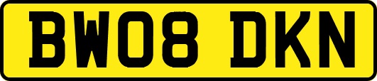 BW08DKN