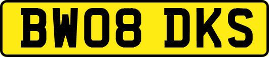 BW08DKS
