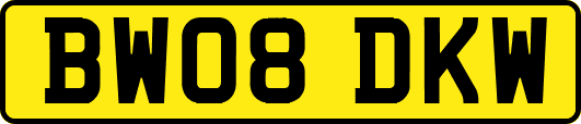 BW08DKW