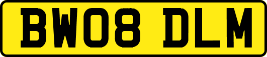 BW08DLM