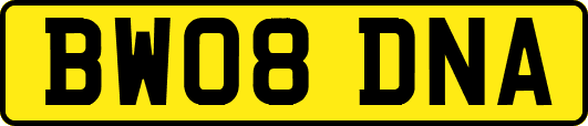 BW08DNA