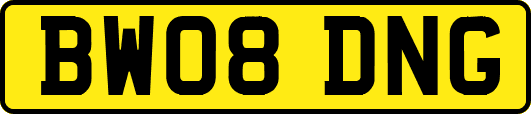 BW08DNG