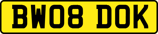 BW08DOK