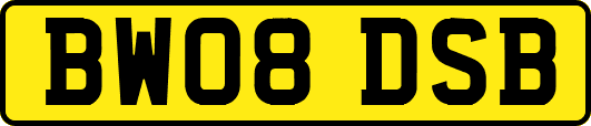 BW08DSB