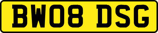 BW08DSG
