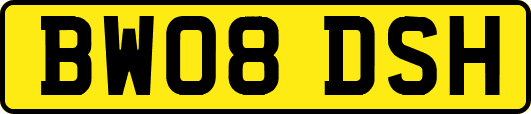 BW08DSH