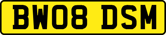 BW08DSM