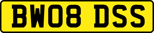 BW08DSS