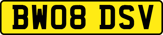 BW08DSV