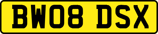BW08DSX