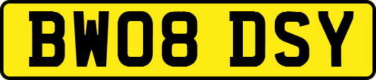 BW08DSY