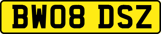 BW08DSZ