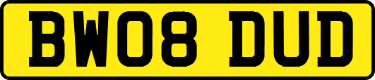 BW08DUD