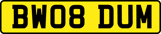 BW08DUM