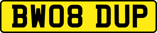 BW08DUP