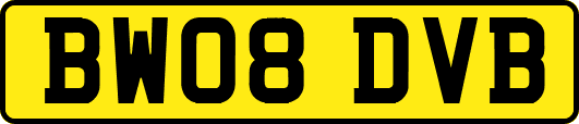 BW08DVB