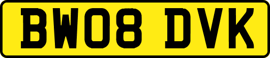 BW08DVK