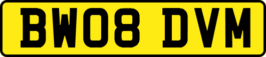 BW08DVM