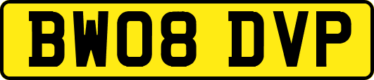BW08DVP