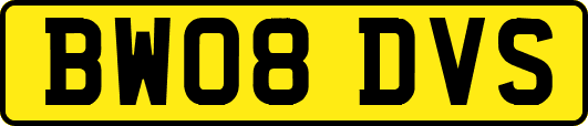BW08DVS