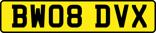BW08DVX