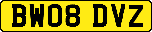 BW08DVZ