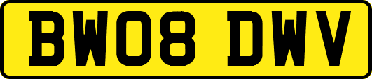 BW08DWV