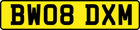 BW08DXM