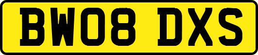 BW08DXS