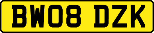 BW08DZK