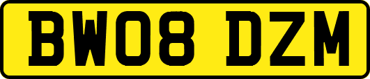 BW08DZM