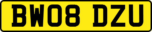 BW08DZU