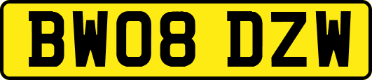 BW08DZW