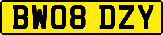 BW08DZY