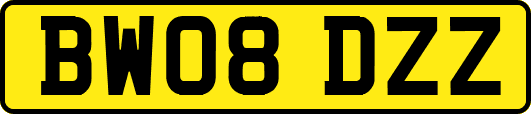 BW08DZZ