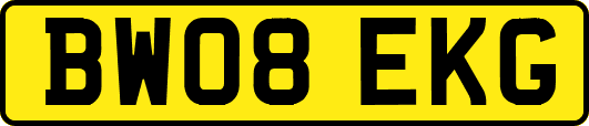BW08EKG