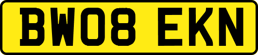 BW08EKN