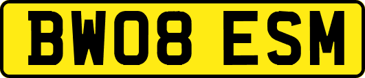 BW08ESM