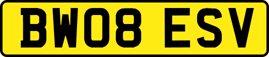 BW08ESV