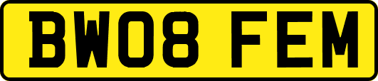 BW08FEM