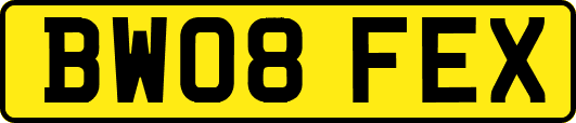 BW08FEX