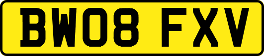 BW08FXV