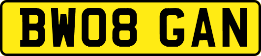 BW08GAN