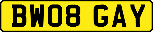 BW08GAY
