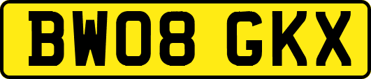 BW08GKX