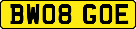 BW08GOE