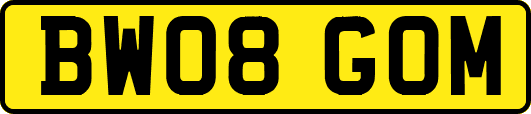 BW08GOM